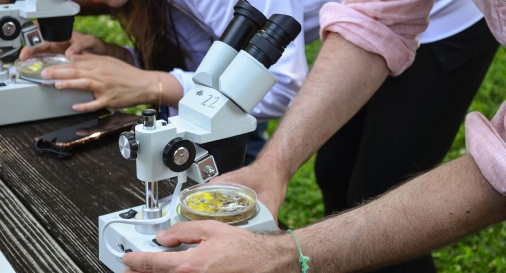 Zwei Personen schauen durch Mikroskope.