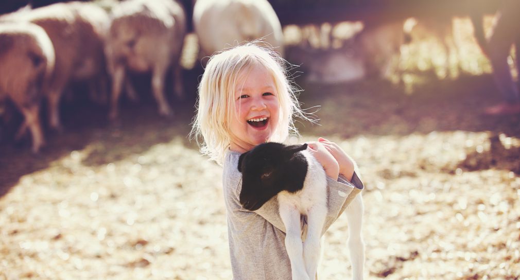 Ein Mädchen trägt eine kleine Ziege, im Hintegrund stehen Kühe